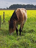 Bild 020